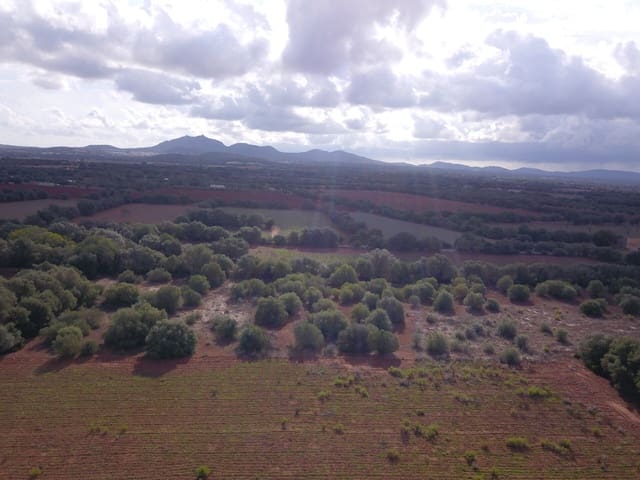 Undeveloped Land for sale in Felanitx - € 170,000 (Ref: 9431640)
