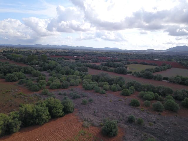 Undeveloped Land for sale in Felanitx - € 170,000 (Ref: 9431640)