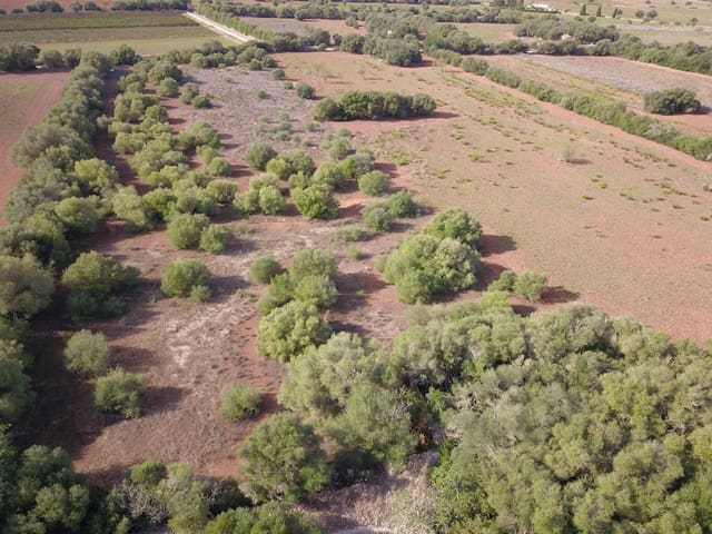 Undeveloped Land for sale in Felanitx - € 170,000 (Ref: 9431640)