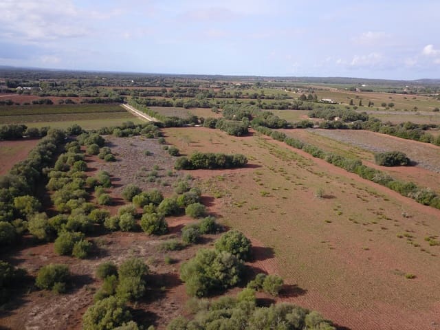 Undeveloped Land for sale in Felanitx - € 170,000 (Ref: 9431640)