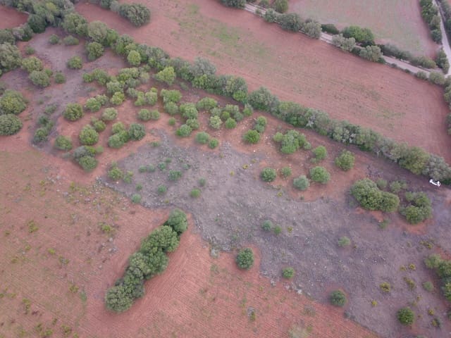 Undeveloped Land for sale in Felanitx - € 170,000 (Ref: 9431640)