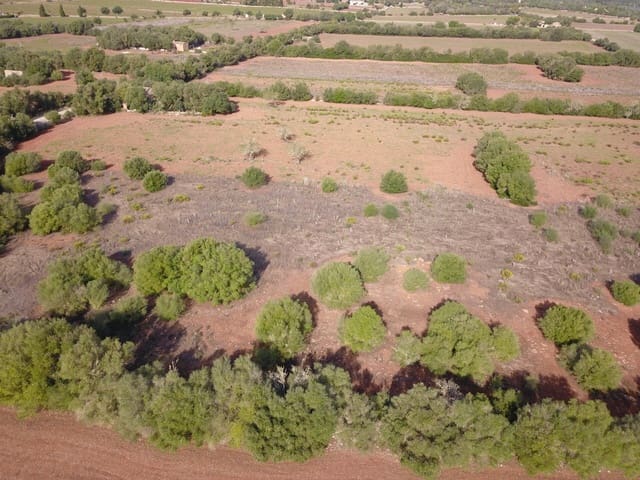 Undeveloped Land for sale in Felanitx - € 170,000 (Ref: 9431640)