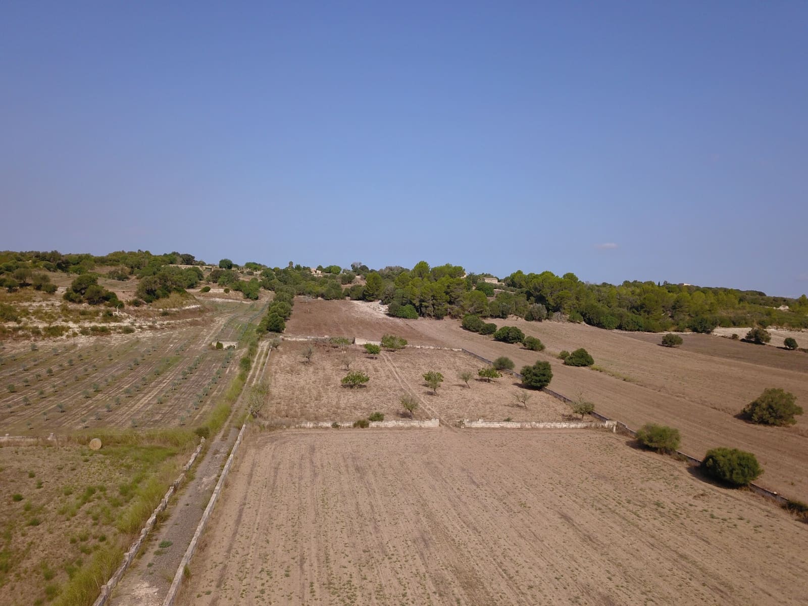 Grond te koop in Ariany - € 215.000 (Ref: 9431645)