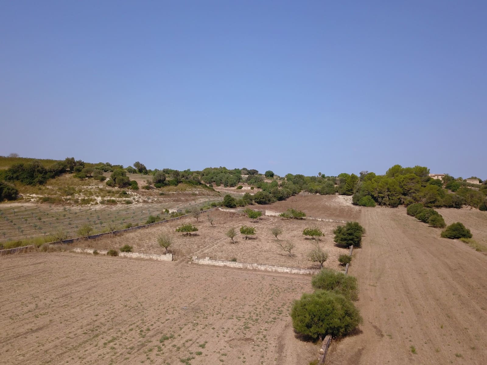 Grond te koop in Ariany - € 215.000 (Ref: 9431645)