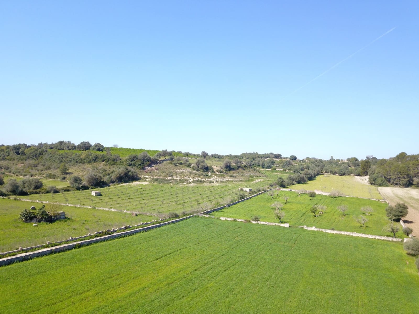 Undeveloped Land for sale in Ariany - € 215,000 (Ref: 9431645)