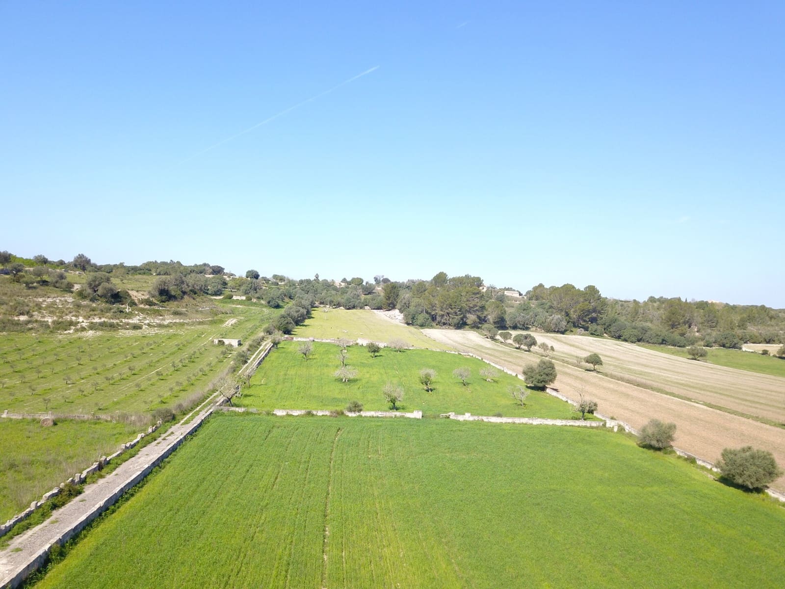 Undeveloped Land for sale in Ariany - € 215,000 (Ref: 9431645)