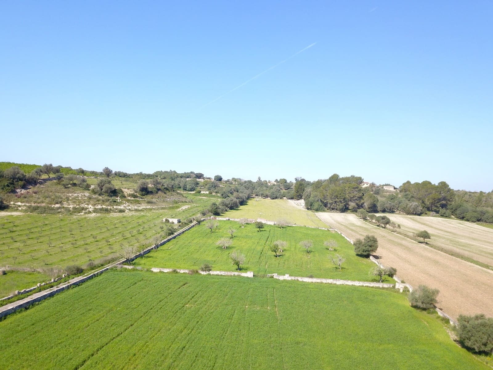 Undeveloped Land for sale in Ariany - € 215,000 (Ref: 9431645)