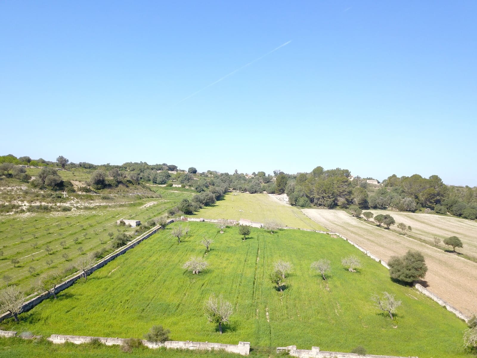 Undeveloped Land for sale in Ariany - € 215,000 (Ref: 9431645)