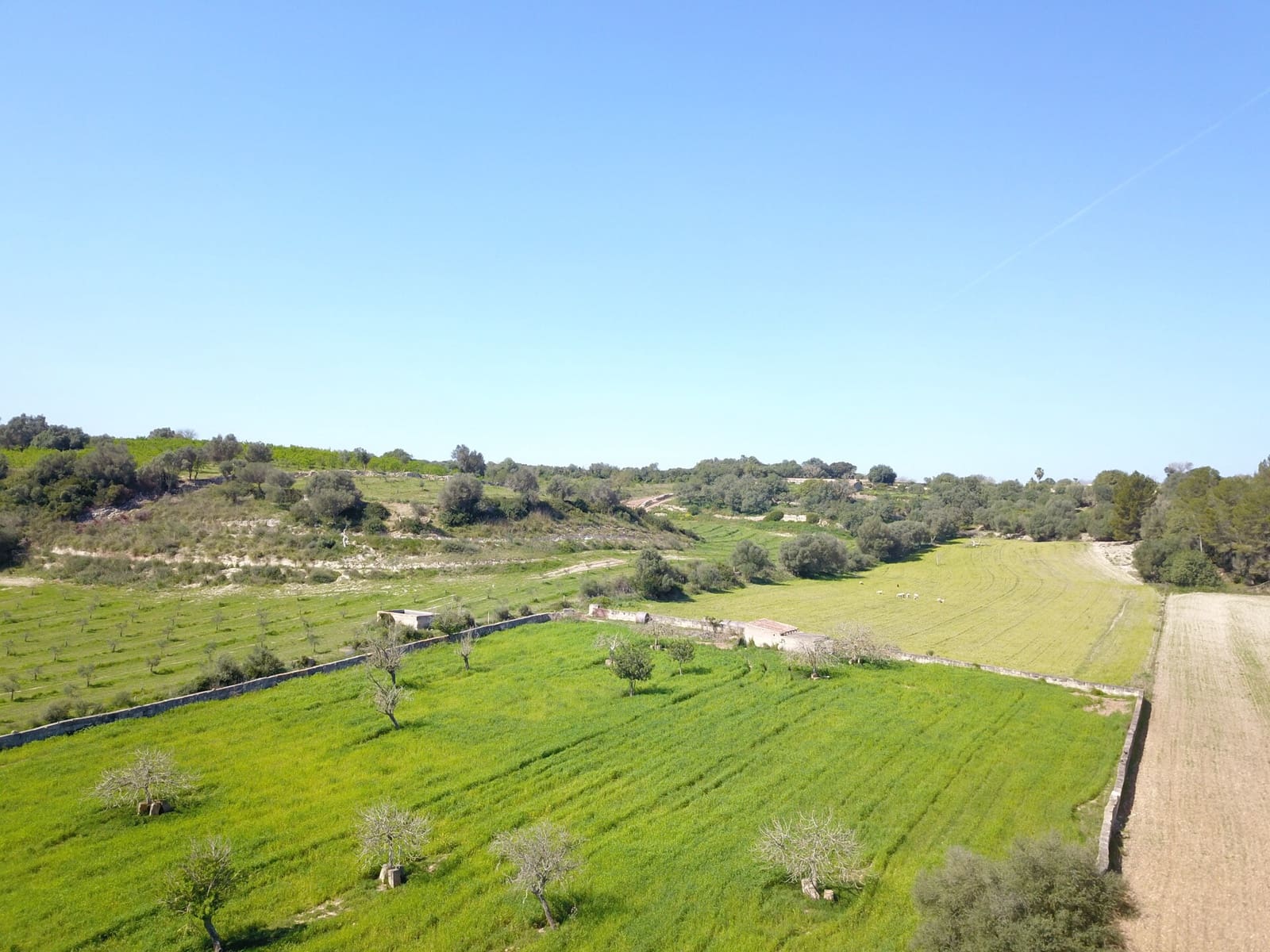 Undeveloped Land for sale in Ariany - € 215,000 (Ref: 9431645)