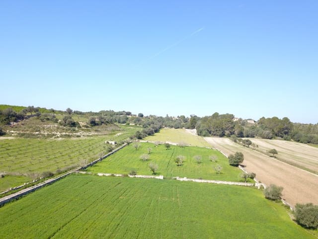 Landgrundstück zu verkaufen in Ariany - 215.000 € (Ref: 9431645)