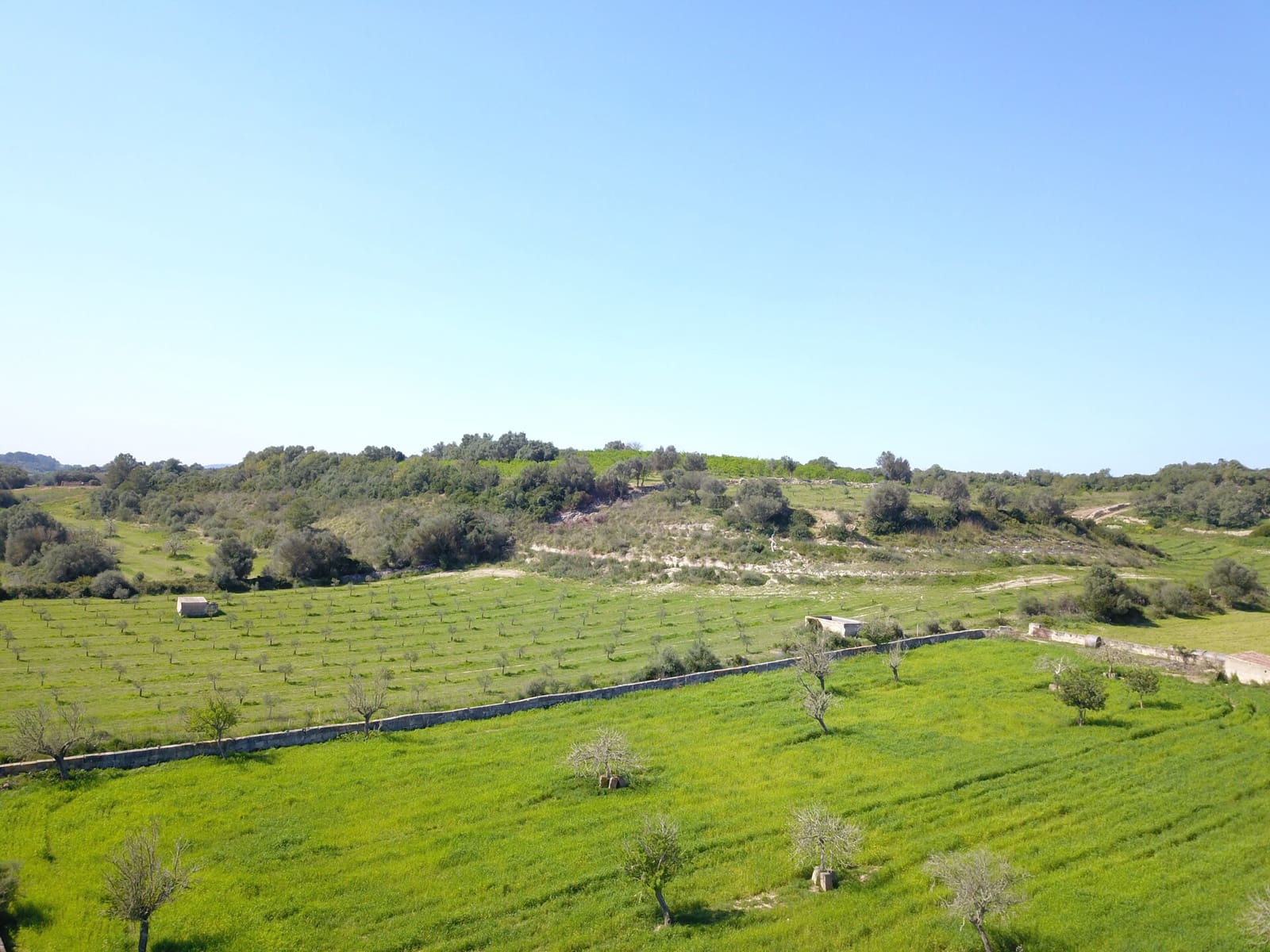 Undeveloped Land for sale in Ariany - € 215,000 (Ref: 9431645)