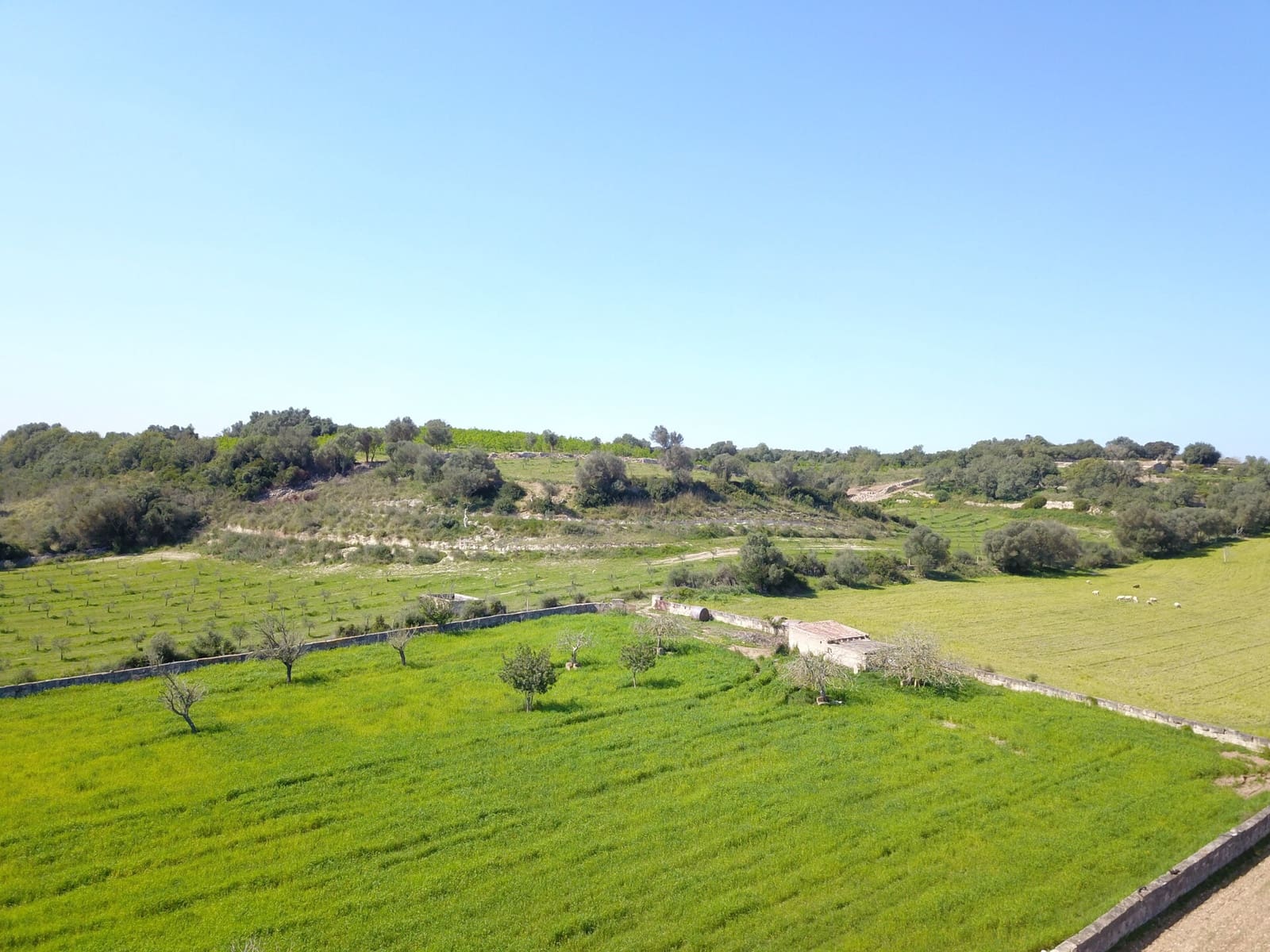 Undeveloped Land for sale in Ariany - € 215,000 (Ref: 9431645)