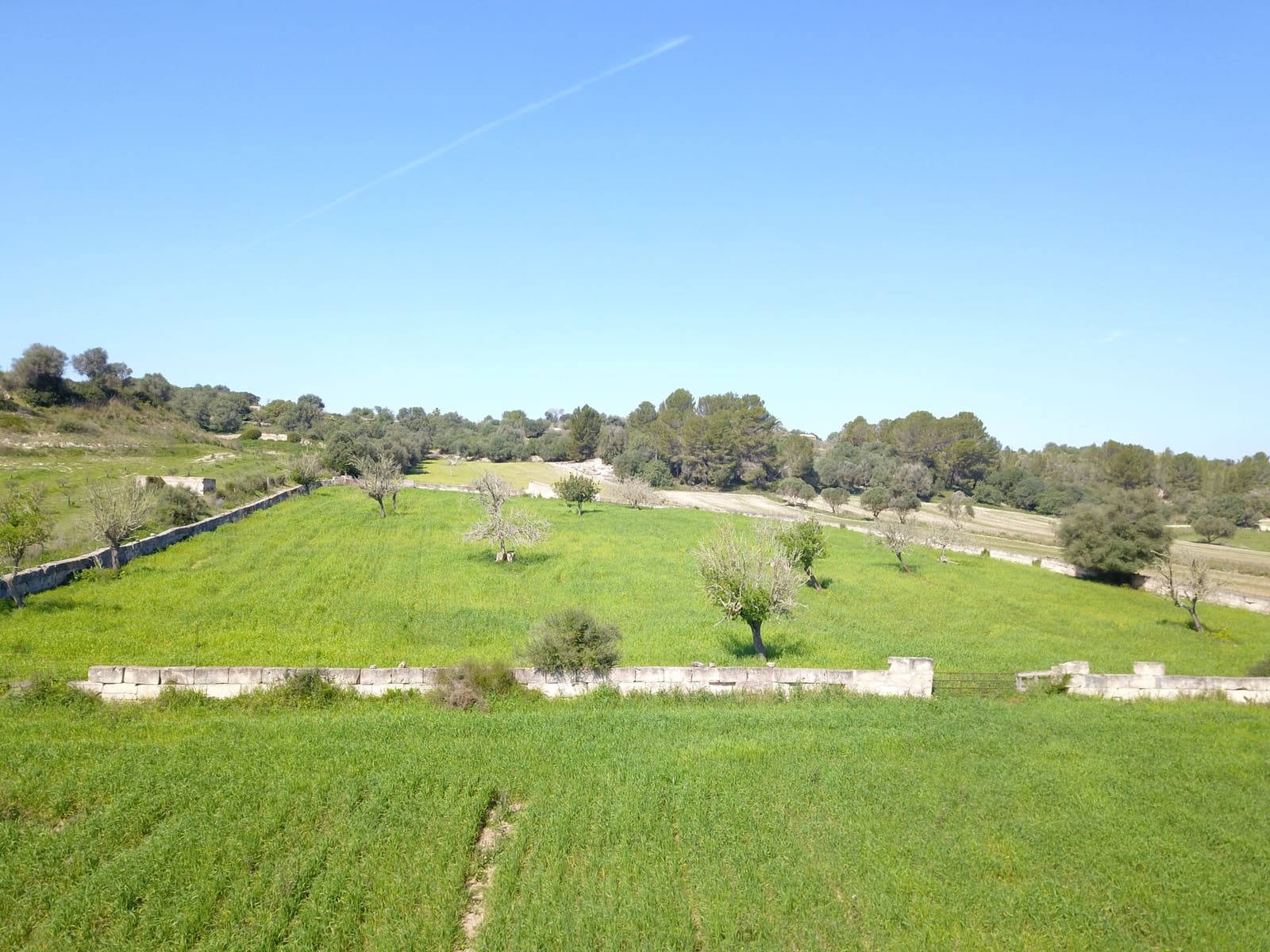 Undeveloped Land for sale in Ariany - € 215,000 (Ref: 9431645)