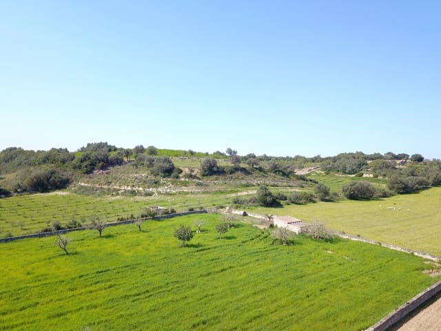 Landgrundstück zu verkaufen in Ariany - 215.000 € (Ref: 9431645)