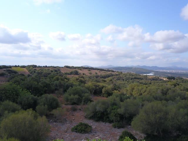 Undeveloped Land for sale in Manacor - € 395,000 (Ref: 9431649)