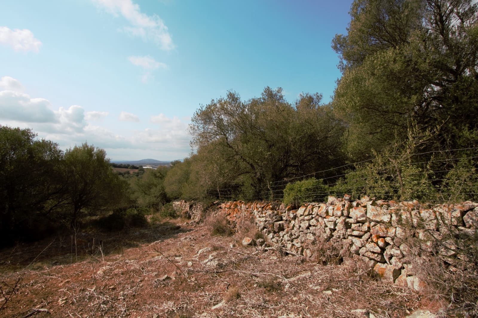 Undeveloped Land for sale in Manacor - € 395,000 (Ref: 9431649)