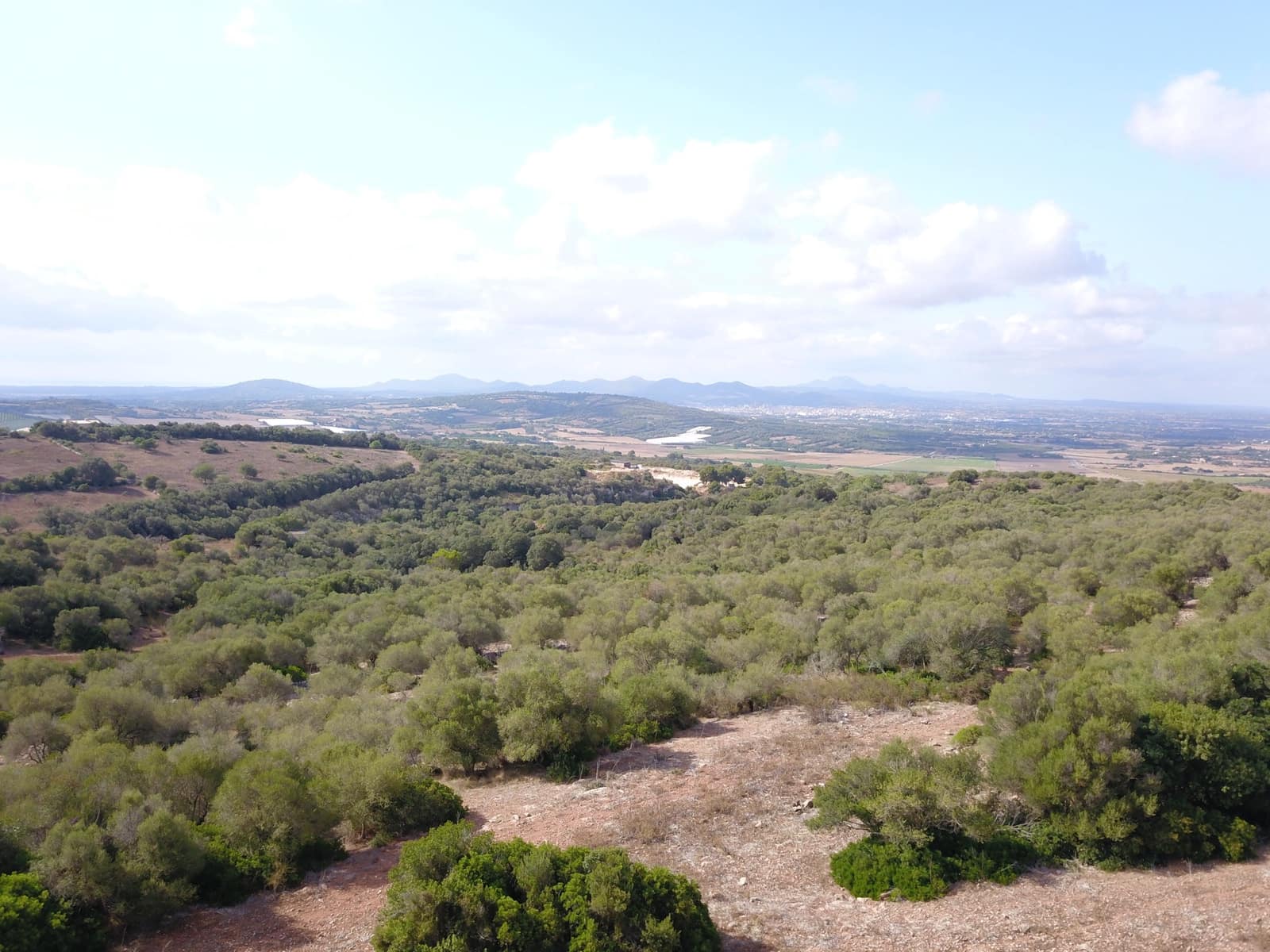 Undeveloped Land for sale in Manacor - € 395,000 (Ref: 9431649)