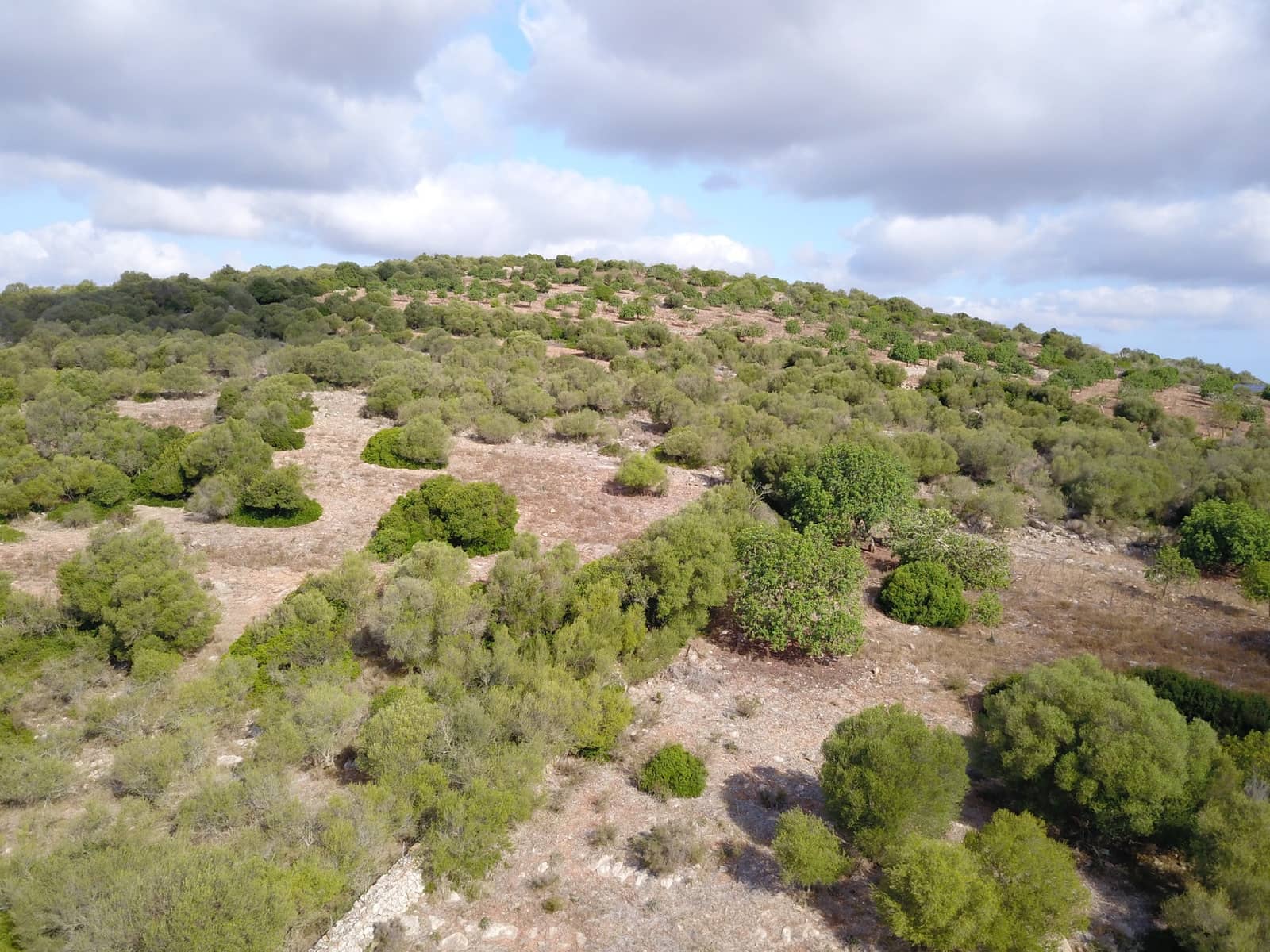 Undeveloped Land for sale in Manacor - € 395,000 (Ref: 9431649)