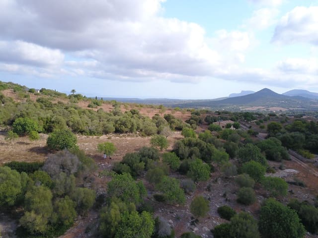 Undeveloped Land for sale in Manacor - € 395,000 (Ref: 9431649)