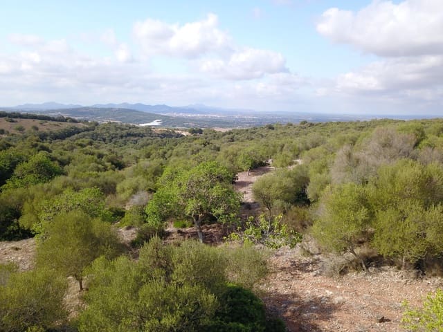 Undeveloped Land for sale in Manacor - € 395,000 (Ref: 9431649)