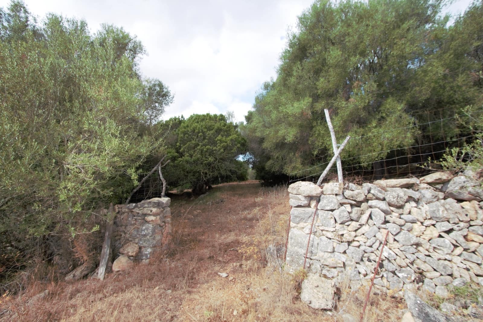 Undeveloped Land for sale in Manacor - € 395,000 (Ref: 9431649)