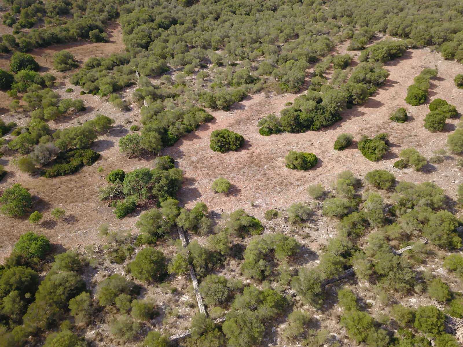 Undeveloped Land for sale in Manacor - € 395,000 (Ref: 9431649)