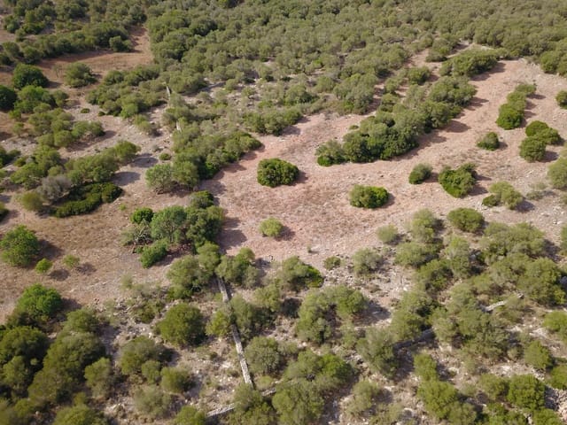 Undeveloped Land for sale in Manacor - € 395,000 (Ref: 9431649)