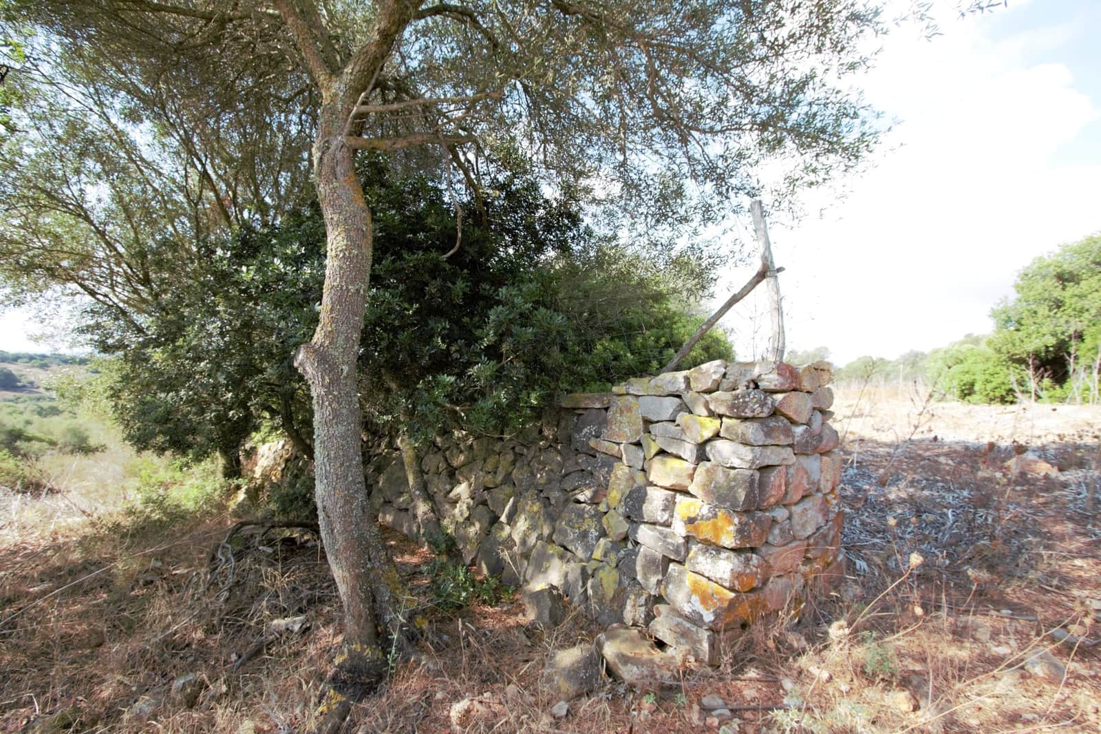 Undeveloped Land for sale in Manacor - € 395,000 (Ref: 9431649)