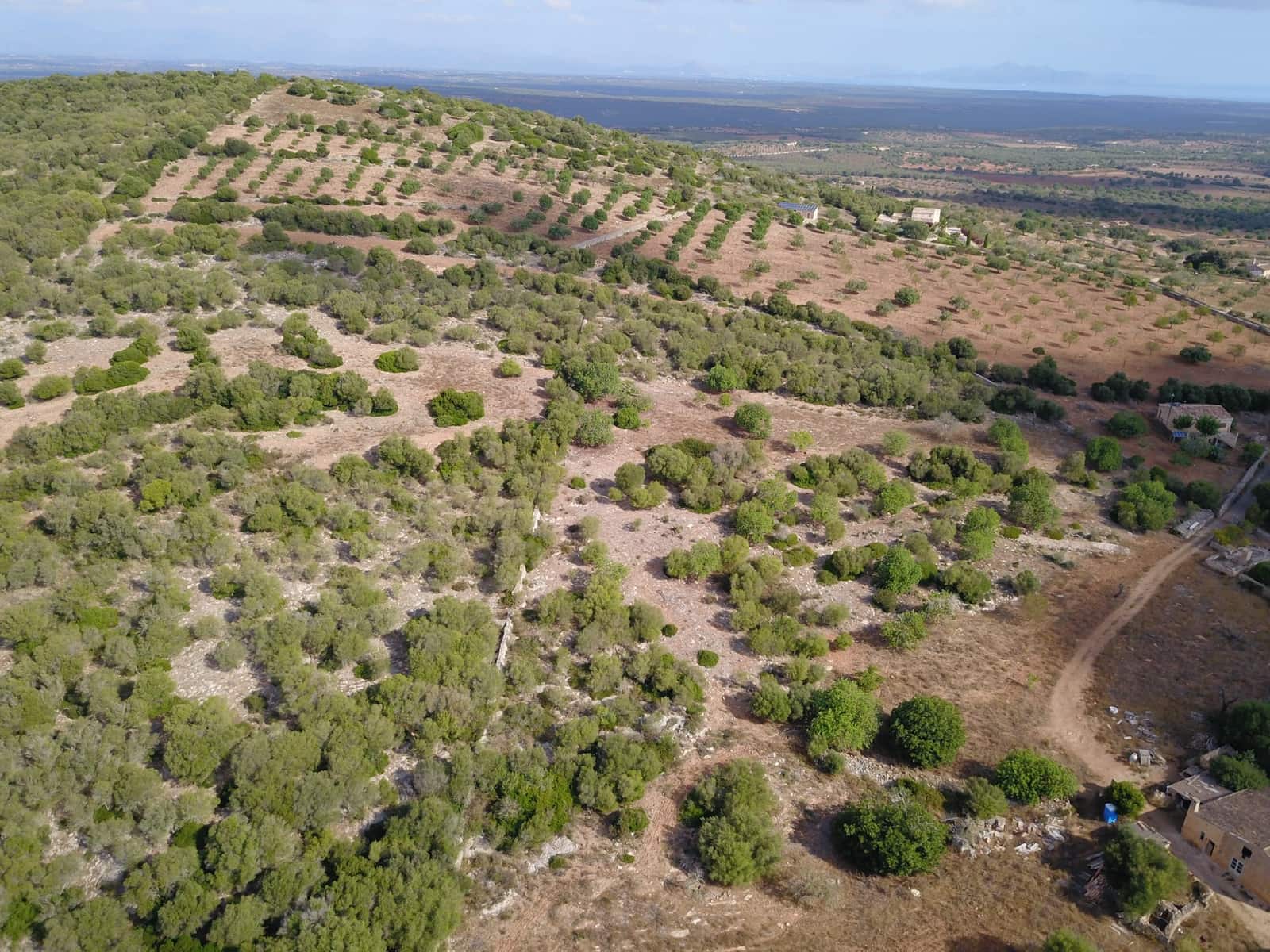 Undeveloped Land for sale in Manacor - € 395,000 (Ref: 9431649)