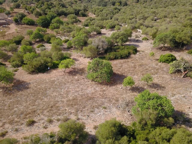 Undeveloped Land for sale in Manacor - € 395,000 (Ref: 9431649)