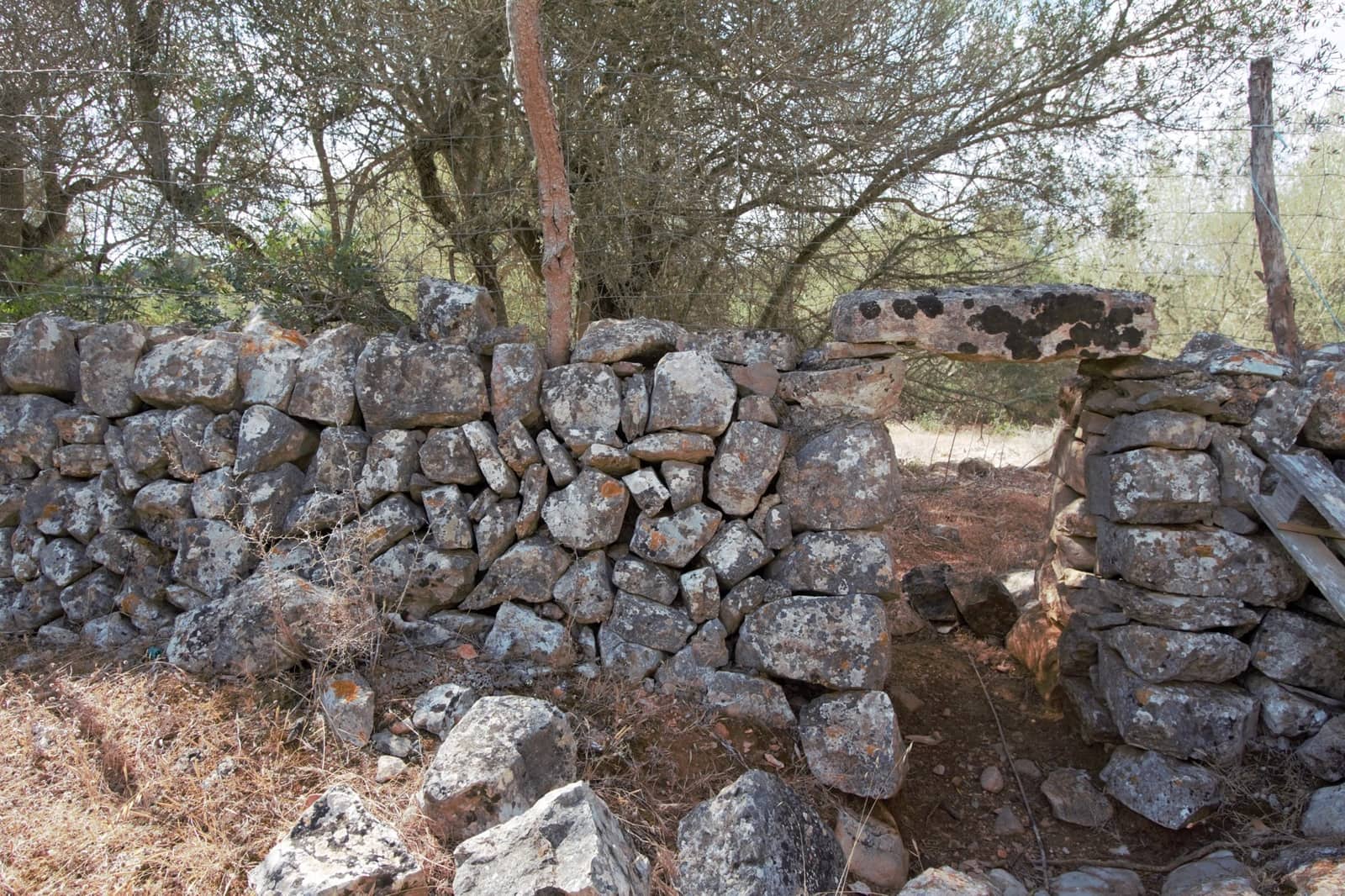 Undeveloped Land for sale in Manacor - € 395,000 (Ref: 9431649)