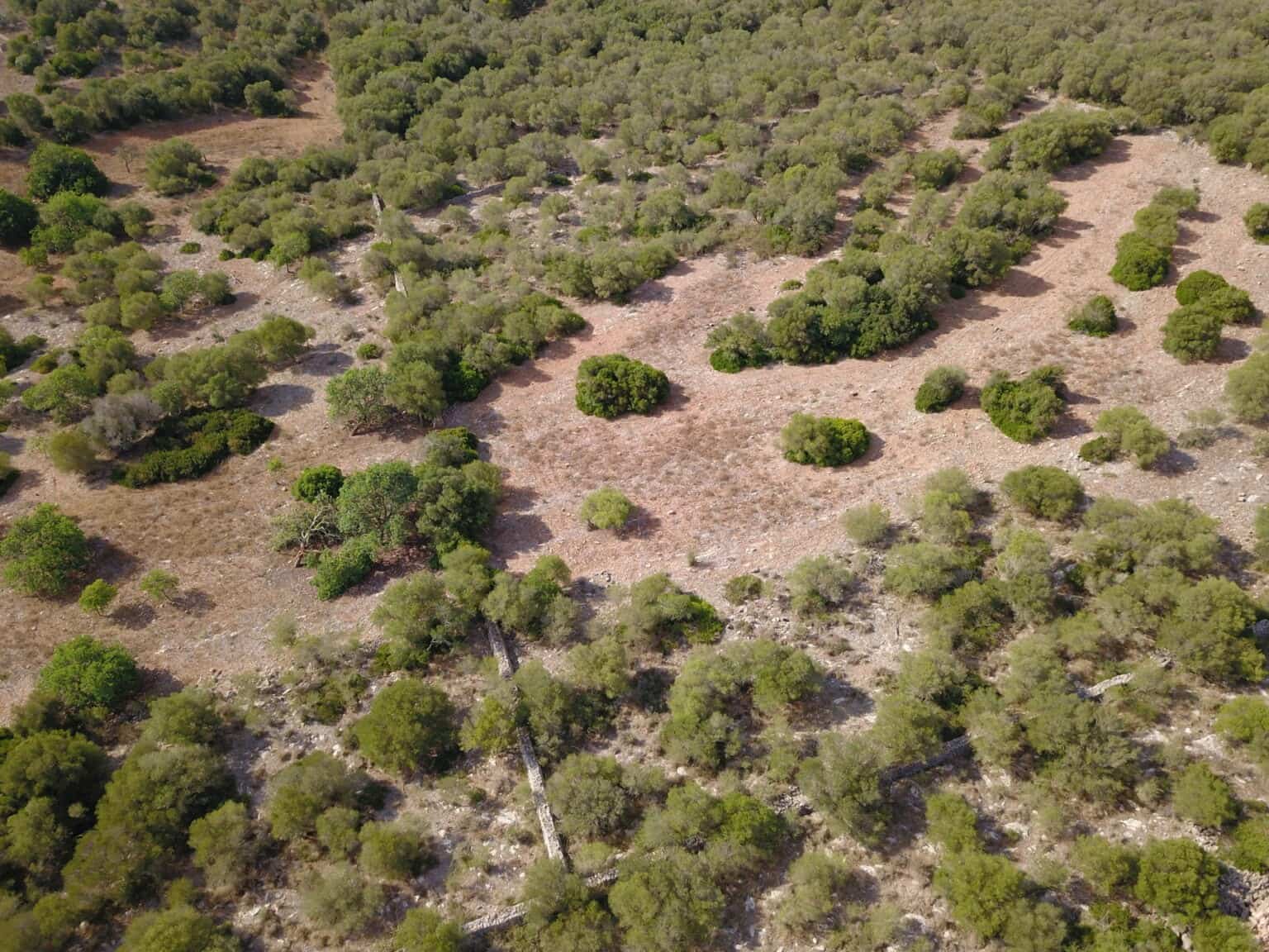 Area Edificabile in vendita in Manacor - 395.000 € (Rif: 9431649)