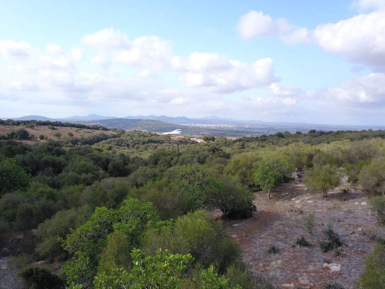 Area Edificabile in vendita in Manacor - 395.000 € (Rif: 9431649)