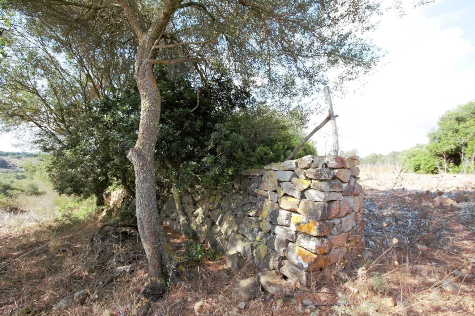 Area Edificabile in vendita in Manacor - 395.000 € (Rif: 9431649)