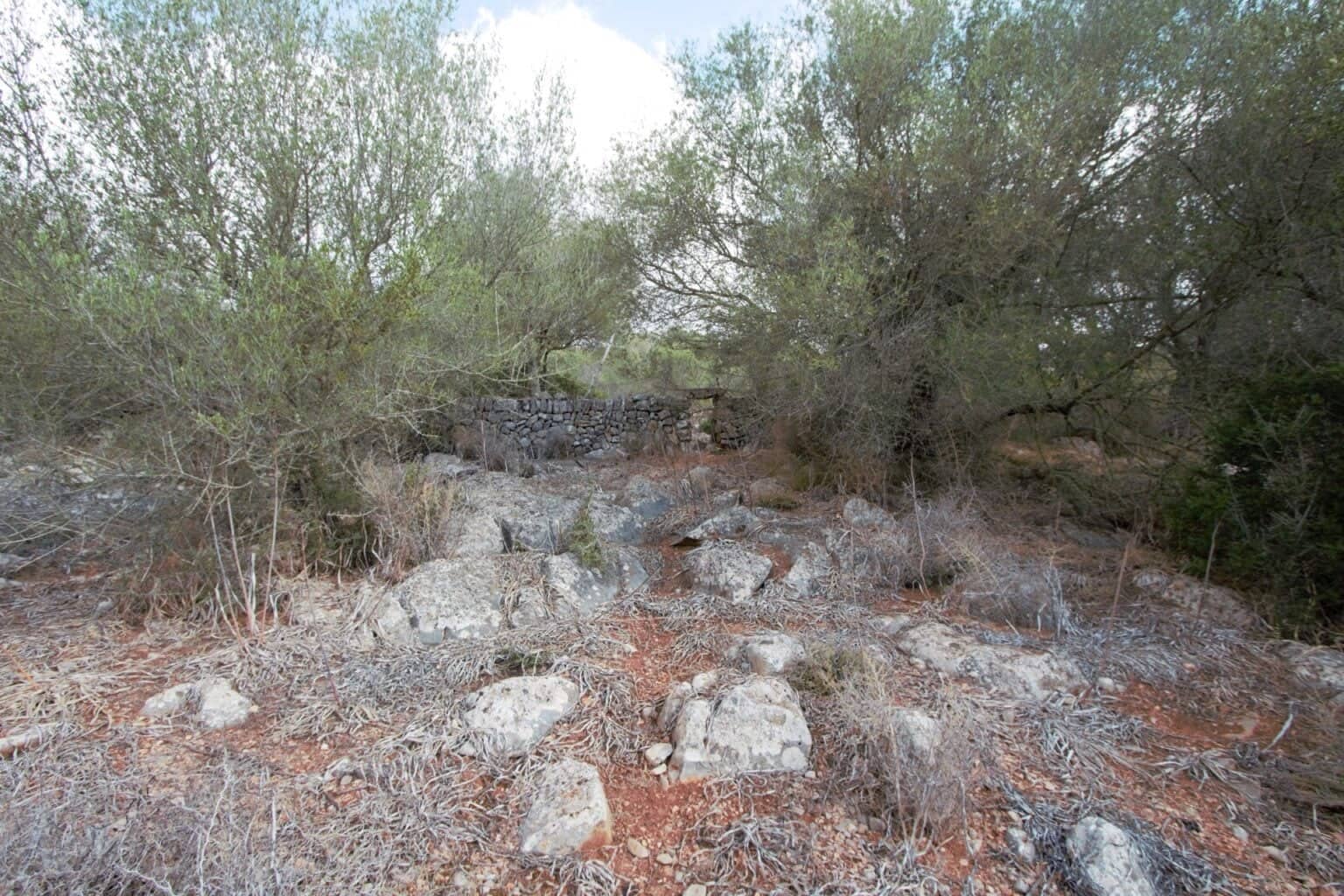 Area Edificabile in vendita in Manacor - 395.000 € (Rif: 9431649)