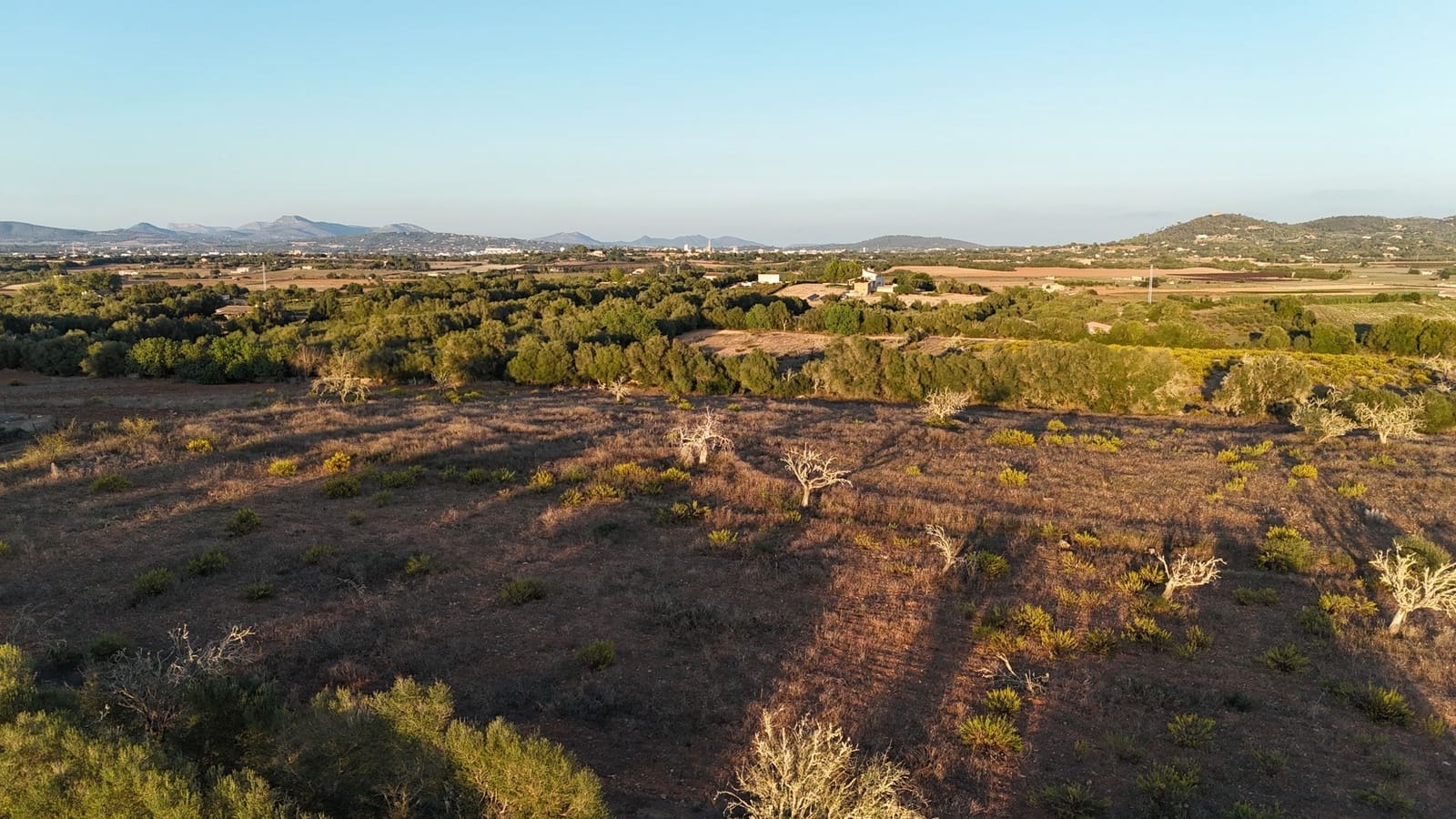 4 quarto Quinta/Casa Rural para venda em Manacor com piscina garagem - 1 950 000 € (Ref: 9431657)