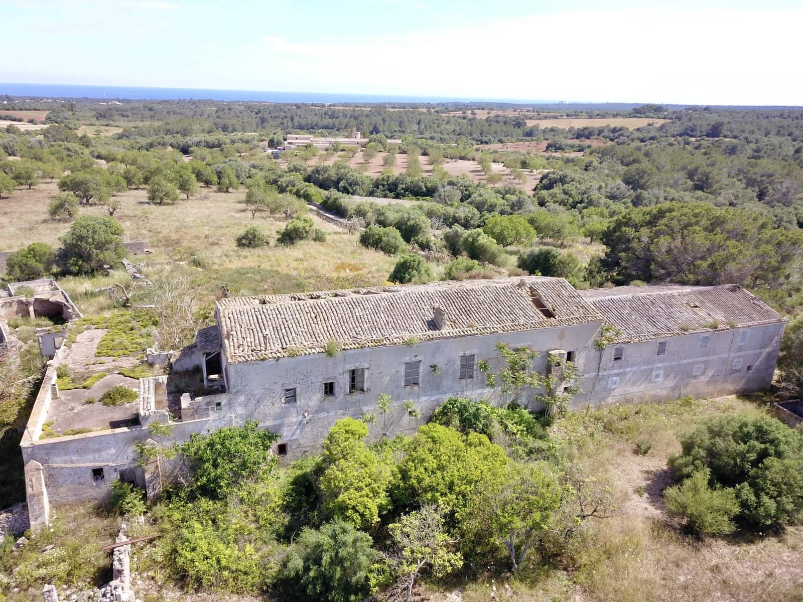 1 bedroom Finca/Country House for sale in Manacor - € 3,200,000 (Ref: 9431659)