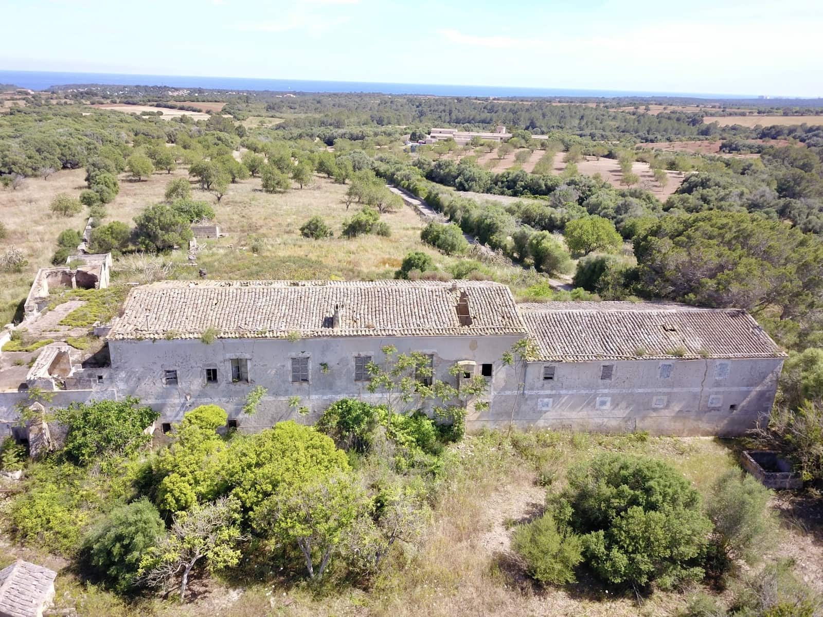 1 bedroom Finca/Country House for sale in Manacor - € 3,200,000 (Ref: 9431659)