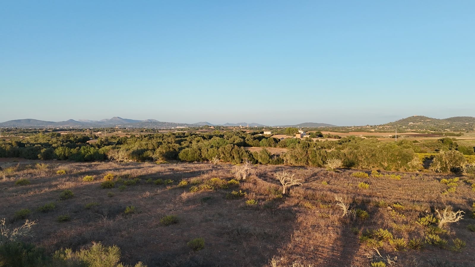 4 slaapkamer Finca/Landhuis te koop in Manacor met zwembad garage - € 1.950.000 (Ref: 9431660)