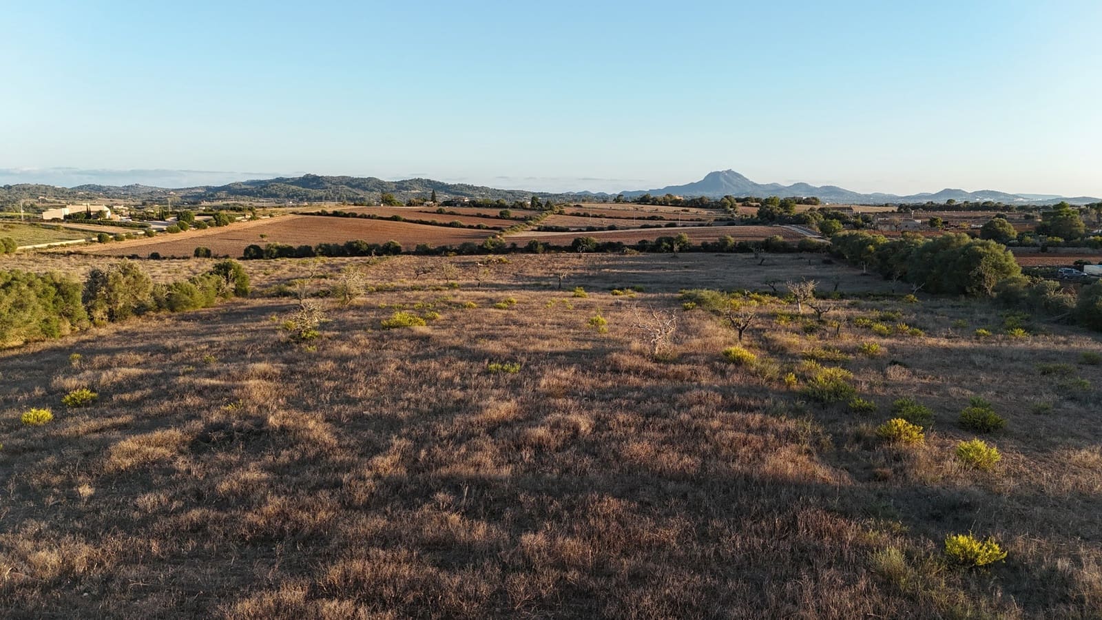 4 slaapkamer Finca/Landhuis te koop in Manacor met zwembad garage - € 1.950.000 (Ref: 9431660)