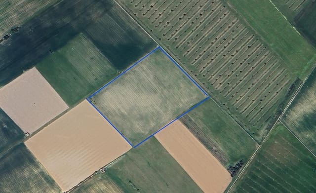 Grond te koop in Felanitx - € 190.000 (Ref: 9431661)