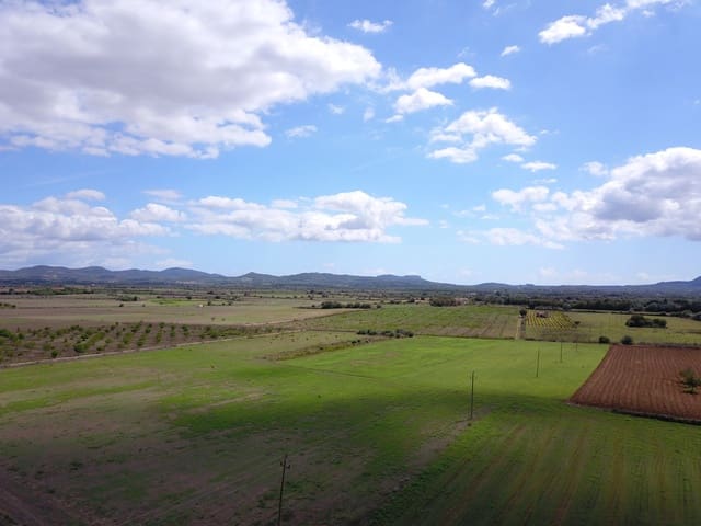 Grond te koop in Felanitx - € 190.000 (Ref: 9431661)