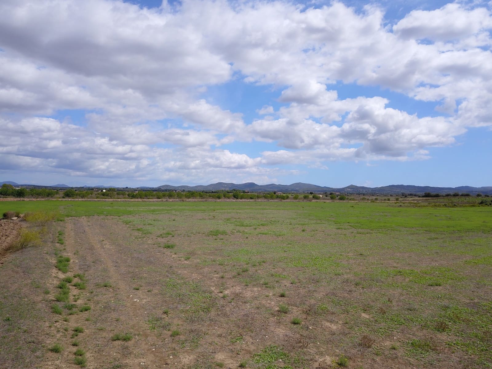 Grond te koop in Felanitx - € 190.000 (Ref: 9431661)