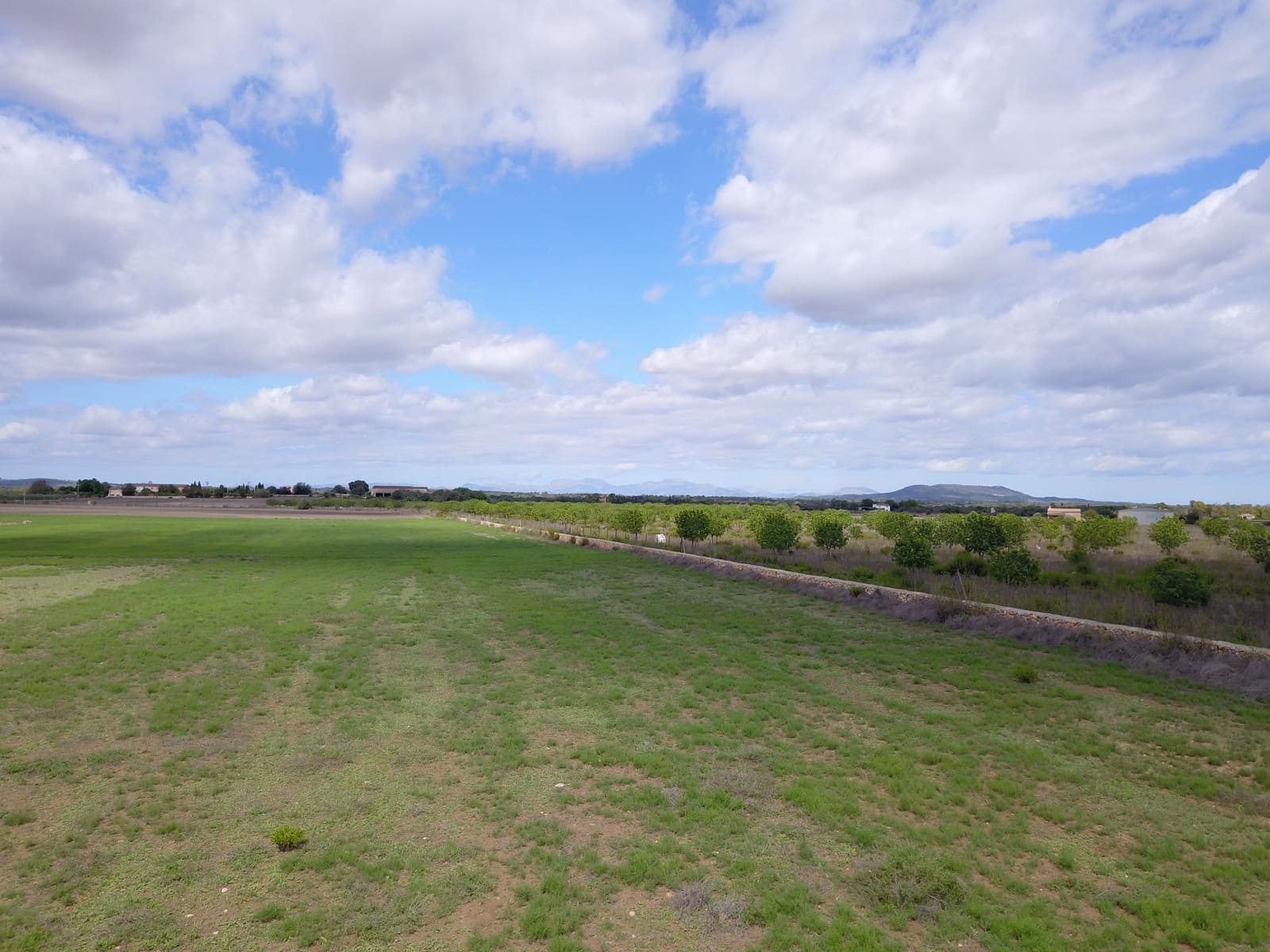 Grond te koop in Felanitx - € 190.000 (Ref: 9431661)