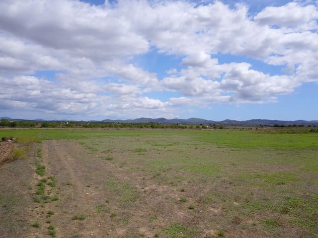 Grond te koop in Felanitx - € 190.000 (Ref: 9431661)