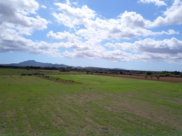 Grond te koop in Felanitx - € 190.000 (Ref: 9431661)