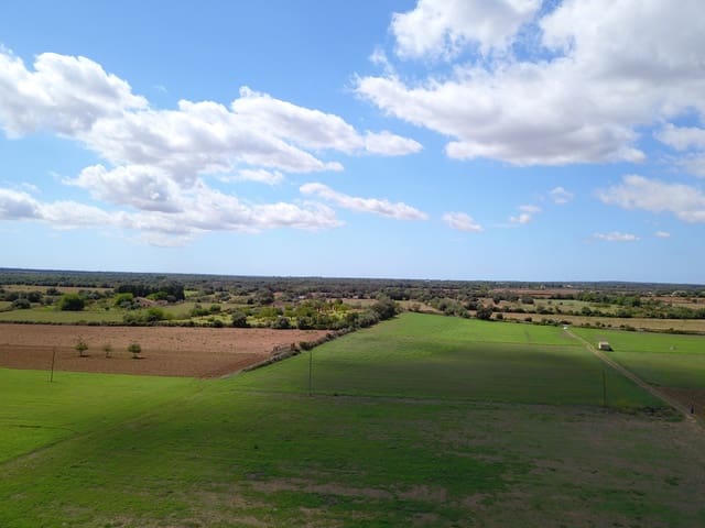 Grond te koop in Felanitx - € 190.000 (Ref: 9431661)