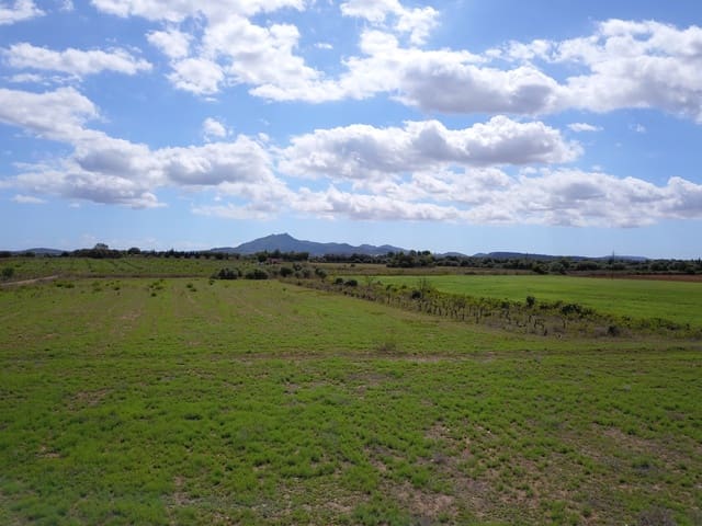 Grond te koop in Felanitx - € 190.000 (Ref: 9431661)