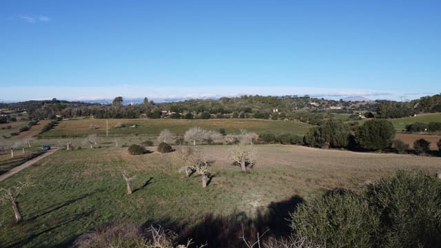 Grond te koop in Sineu - € 318.150 (Ref: 9431664)