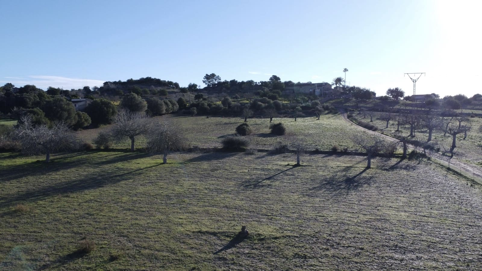 Grond te koop in Sineu - € 318.150 (Ref: 9431664)